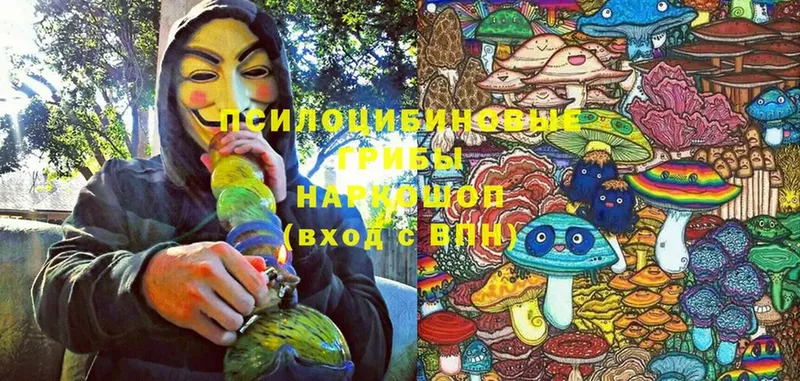 Псилоцибиновые грибы Magic Shrooms  Добрянка 